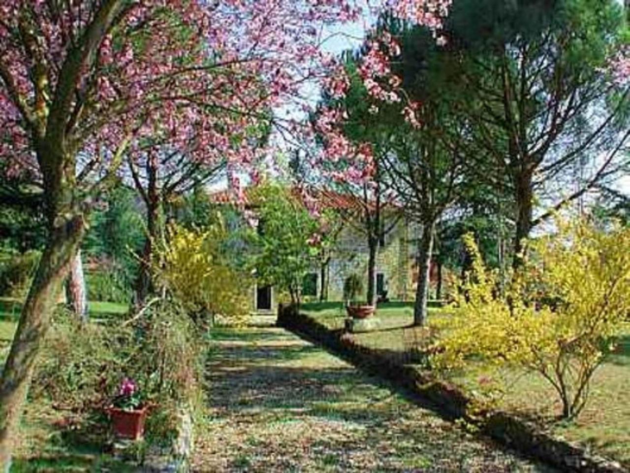 Hotel Belvedere Ciggiano Exterior foto